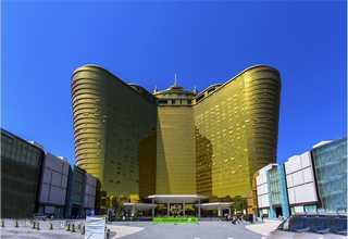 白山牵牛花设计